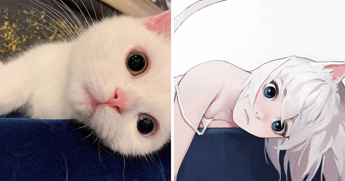 Verdade que os animes são inspirados em gatos?