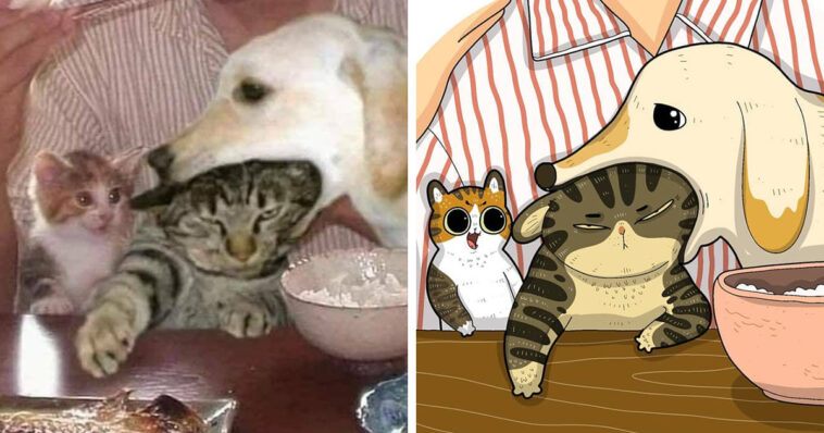 artista transforma fotos engracadas de gatos em ilustracoes