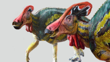DinossauroTlatolophusgalorum.CreditoLuisV.ReyCretaceousResearch2021.DOI10.1016j.cretres.2021.104884