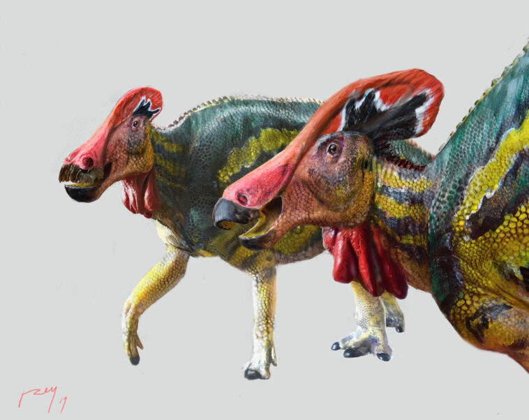 DinossauroTlatolophusgalorum.CreditoLuisV.ReyCretaceousResearch2021.DOI10.1016j.cretres.2021.104884