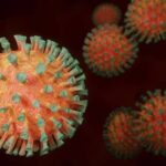 coronavirus sistema imunologico pode combater o COVID 19 Ea