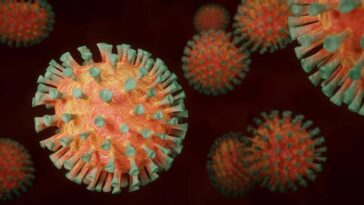 coronavirus sistema imunologico pode combater o COVID 19 Ea