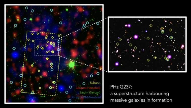 protoclusterG237galaxiasuniversidadearizona