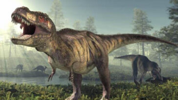 tyrannosaurusrexdinossaurotiranossauroCreditoGettyImages