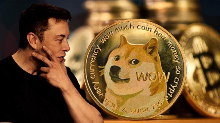 Elon Musk e cofundador do Dogecoin entram em um duelo