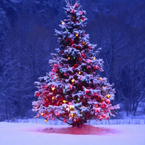 Christmas Tree Snow drawing 1080x675 1