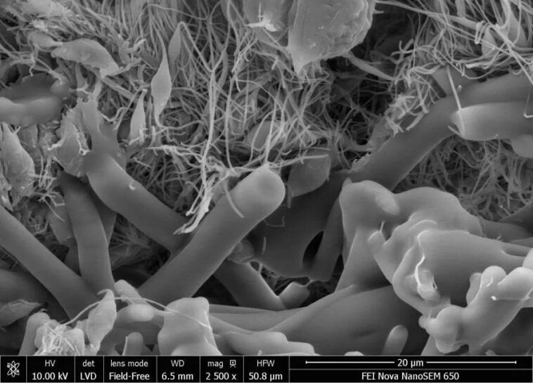 microscopio eletronico de varredura das camadas de fibra de acido polilactico e acetato de etileno vinal Credito Universidade de Melbourne